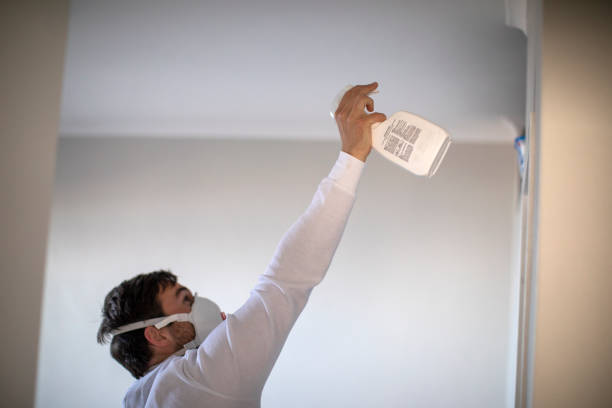 Best Attic Mold Removal  in Andrews, TX