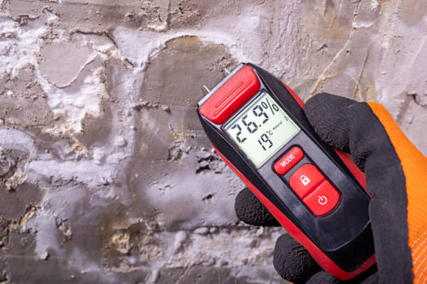 Best Mold Testing  in Andrews, TX